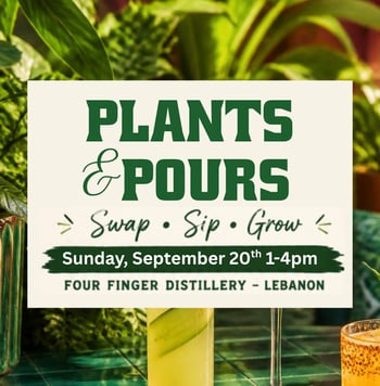 LEBANON: Plants & Pours