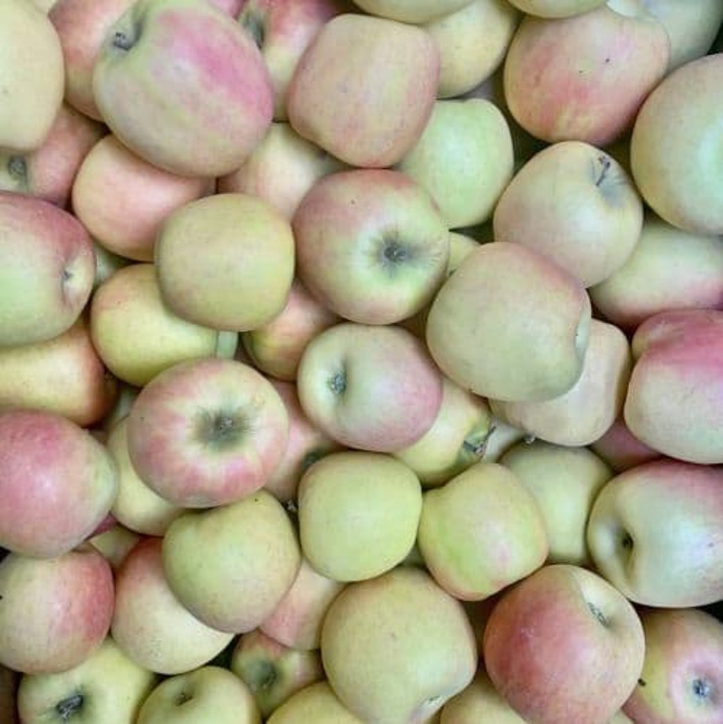 Organic Apple Royal Gala