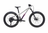 Marin San Quentin 24 , shop product