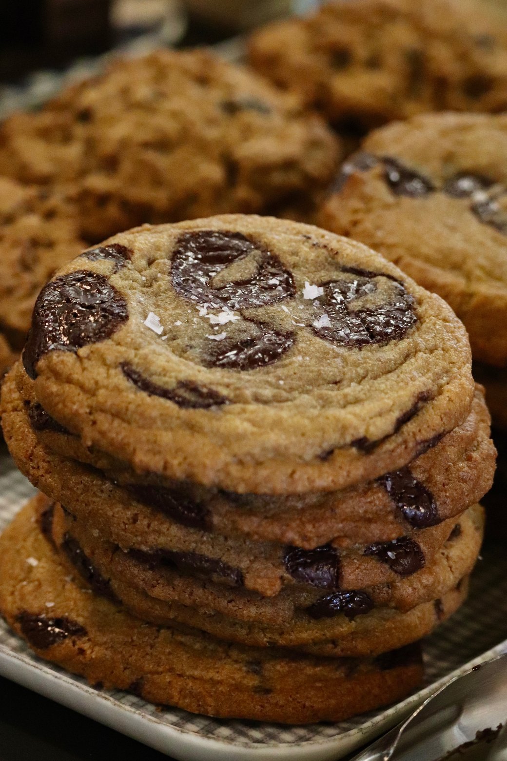 Chocolate Chip Cookie