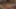 Decoration image without any essential information