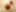Decoration image without any essential information