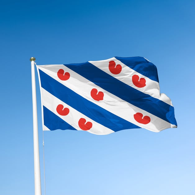 Vlag Heerenveen