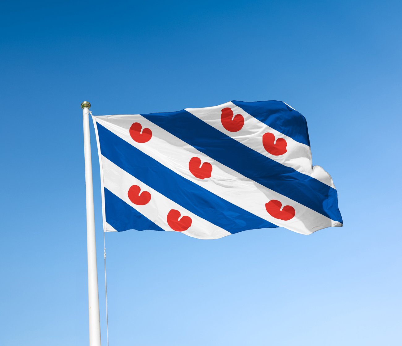 Vlag Heerenveen