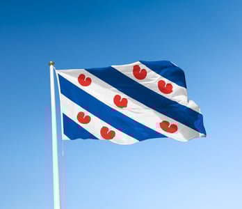 Vlag Heerenveen