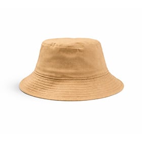 Illustratie Standaard