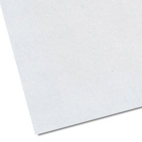 Illustratie 300 grams recystar