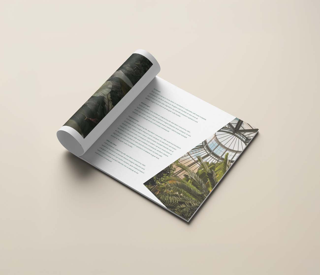 Eco brochure drukken