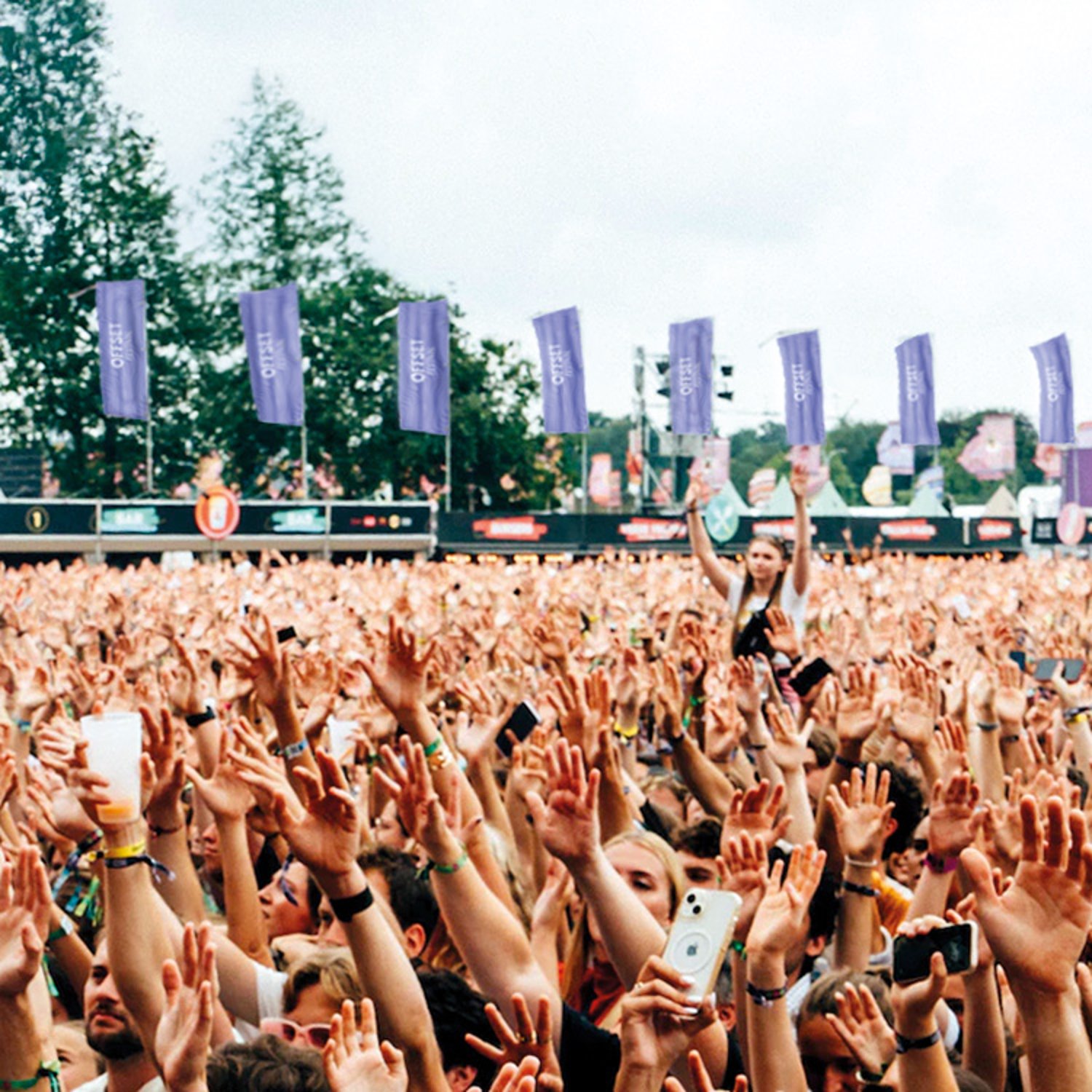 Festival drukwerk bestellen bij Drukbedrijf
