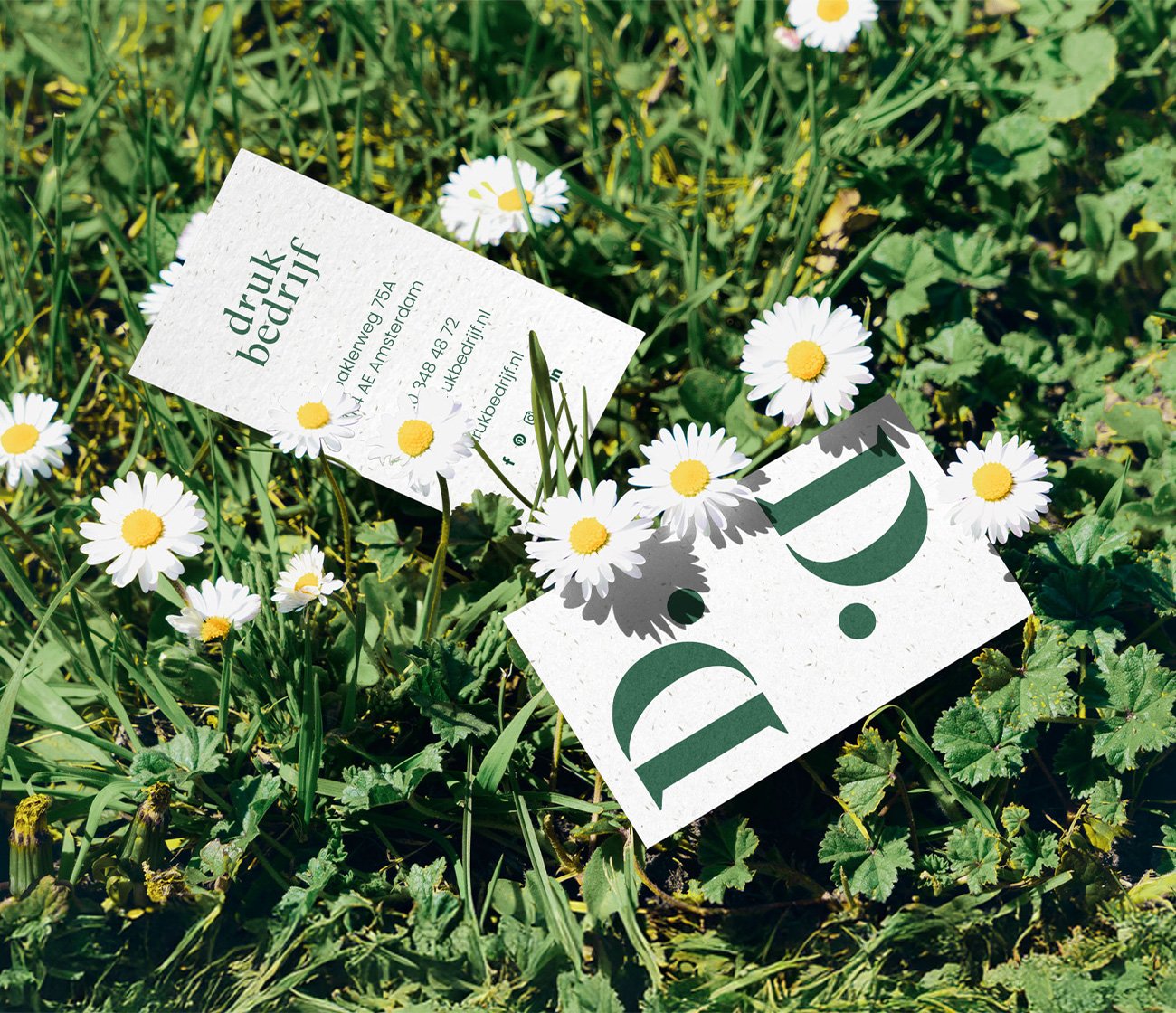 Groeipapier laten bedrukken