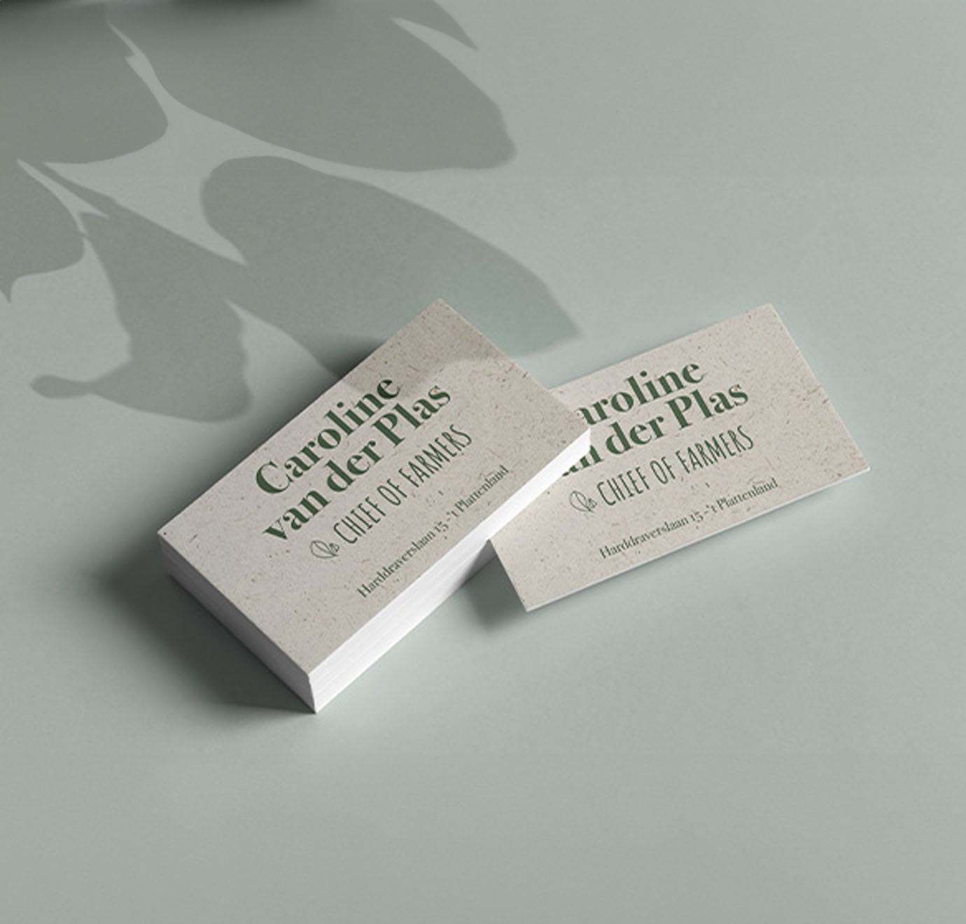 Visitekaartje duurzaam groeipapier van caroline van der plas
