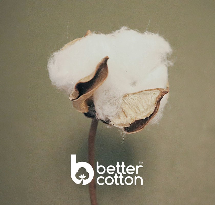 Katoenproductie volgens de richtlijnen van Better Cotton