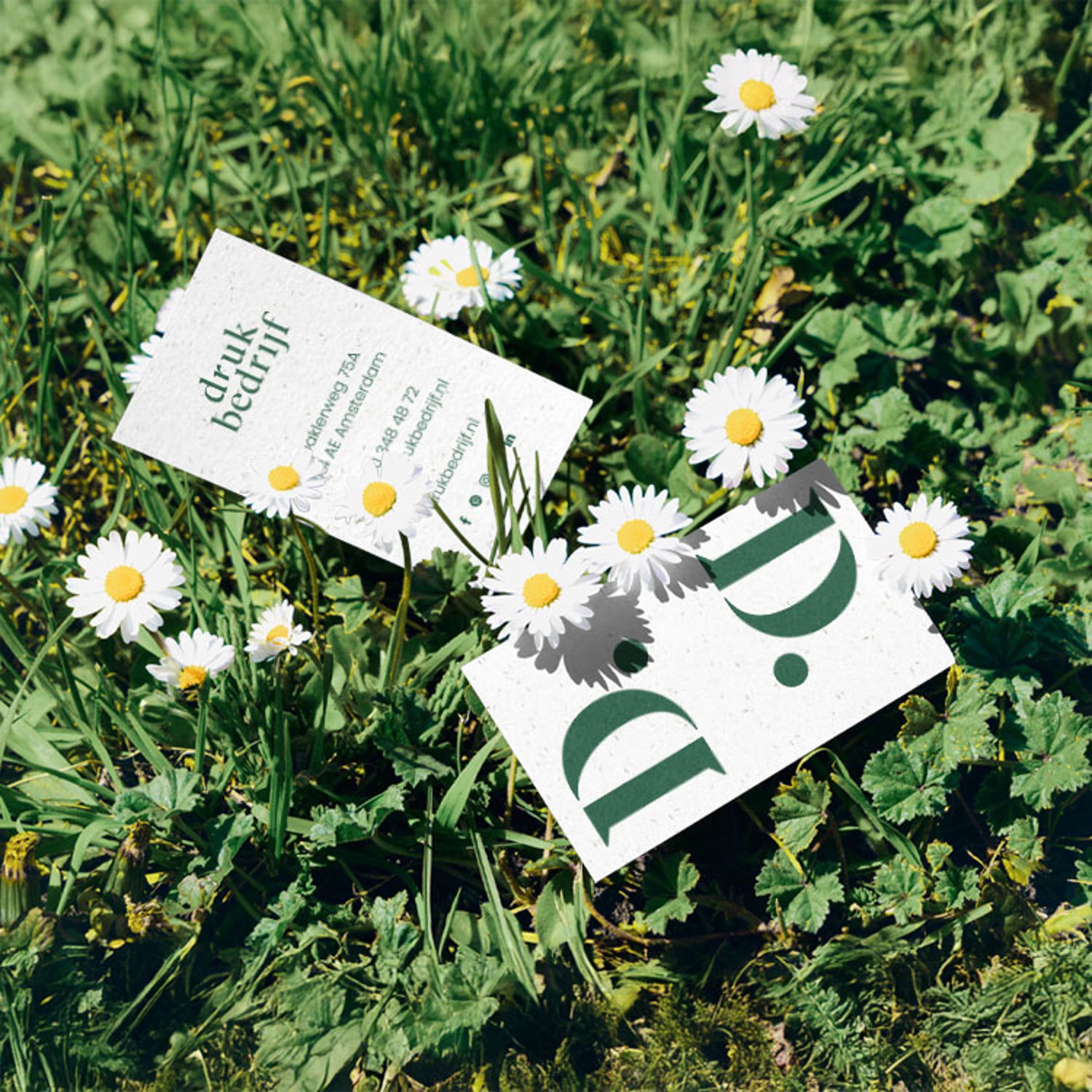 Eigen ontwerp drukken op groeipapier