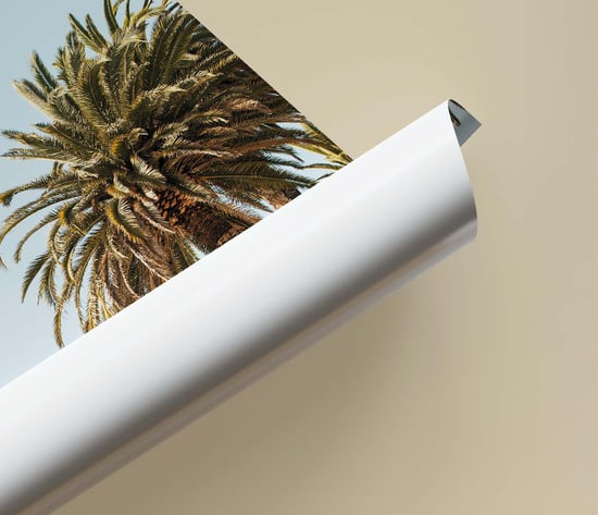 fujifilm fotolijst posters