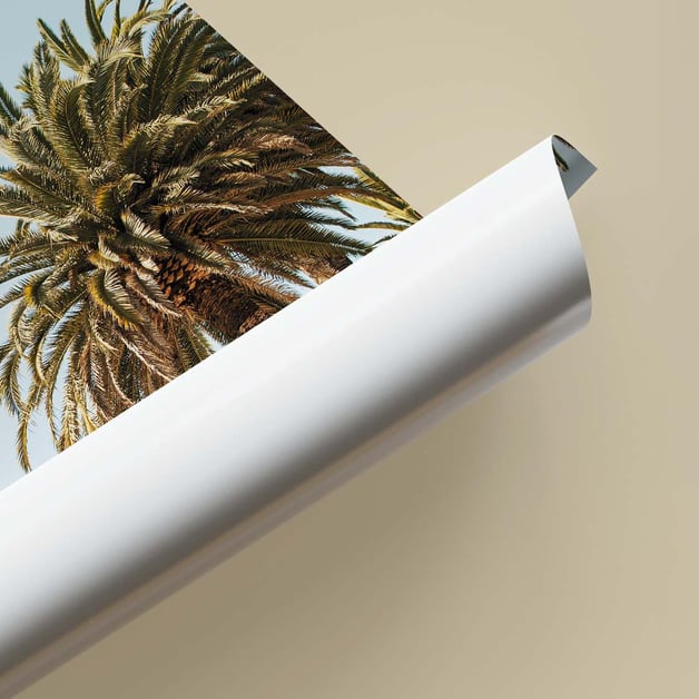 fujifilm fotolijst posters