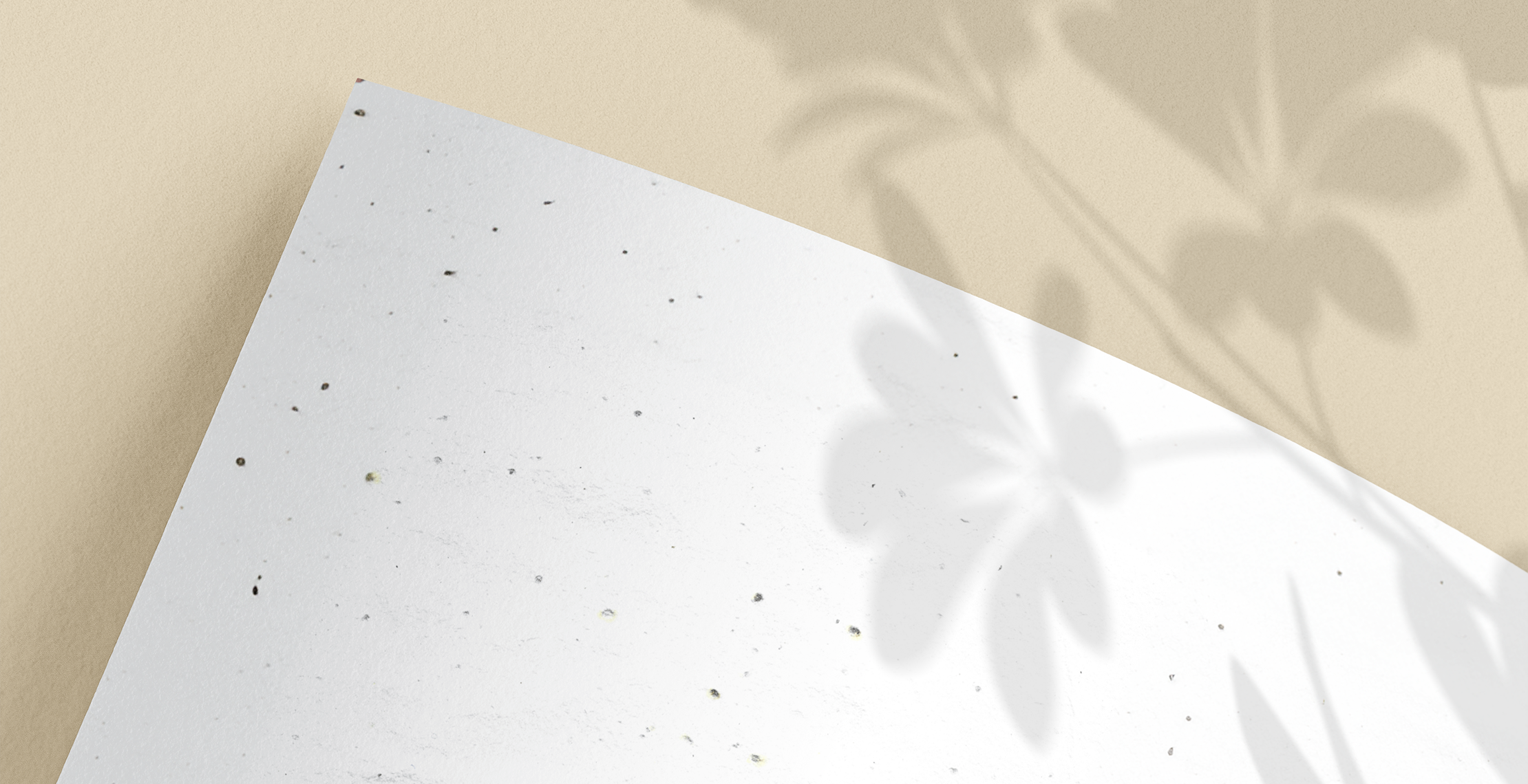 Groeipapier textuur met bloem schaduw op beige achtergrond