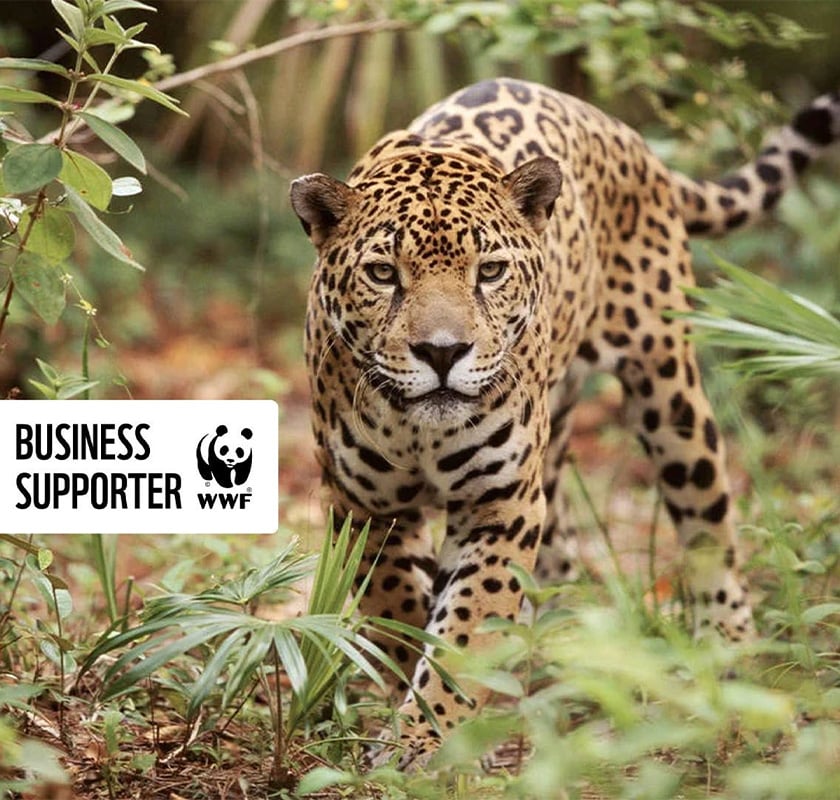 Business supporter logo wwf met dier in jungle