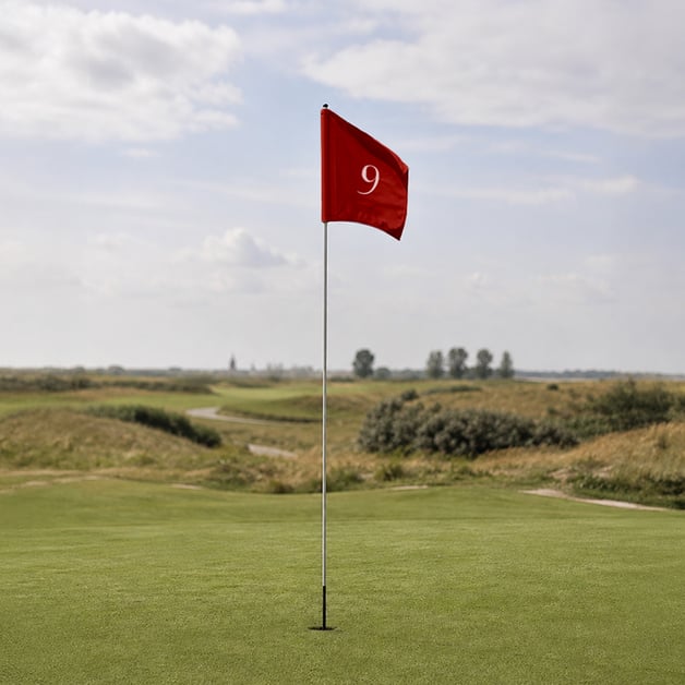 Golfvlag