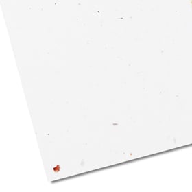 Illustratie  350 grams tulpenbollen papier