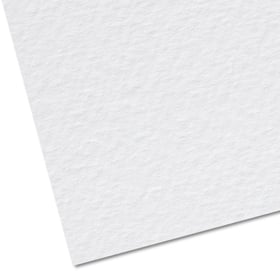 Illustratie 300 grams gehamerd karton (Tintoretto Gesso)