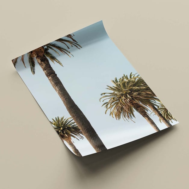 fujifilm fotolijst poster