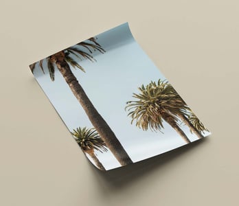 fujifilm fotolijst poster