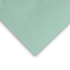 Illustratie Mint Groen (33 x 33 cm)