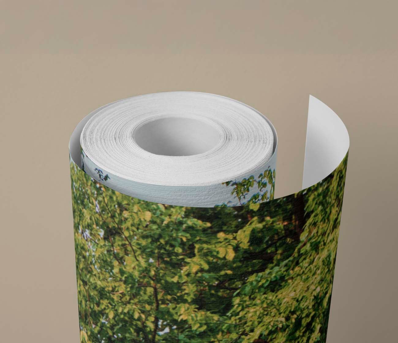 Bedrukt fotobehang voor branding en events