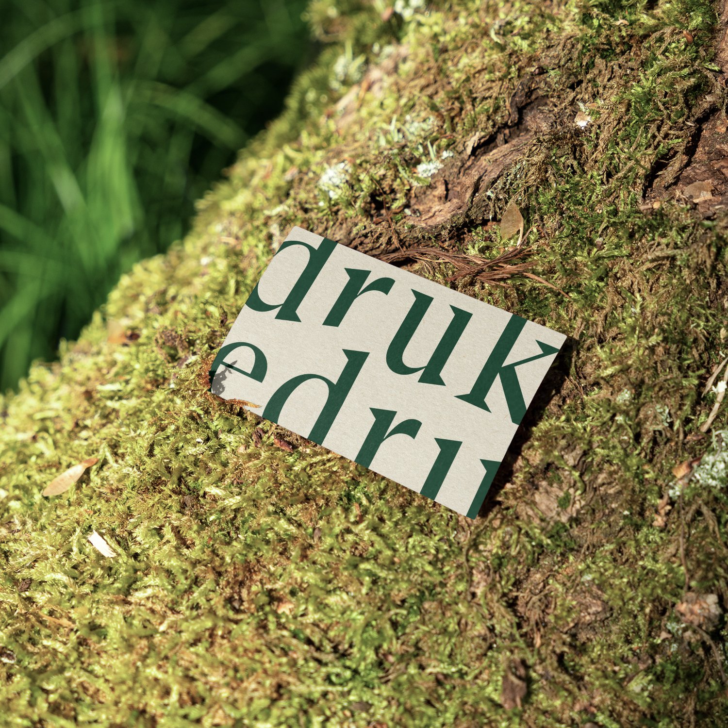 Milieuvriendelijk drukwerk bestellen