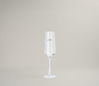 Full color champagne glazen voor feesten en promotie