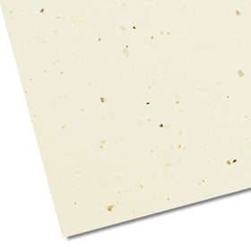 Illustratie 250 grams tulpenbollen papier