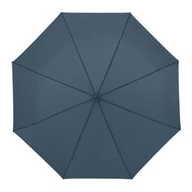 Illustratie Hale Blue