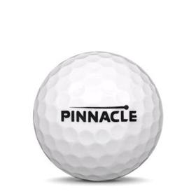 Illustratie Pinnacle