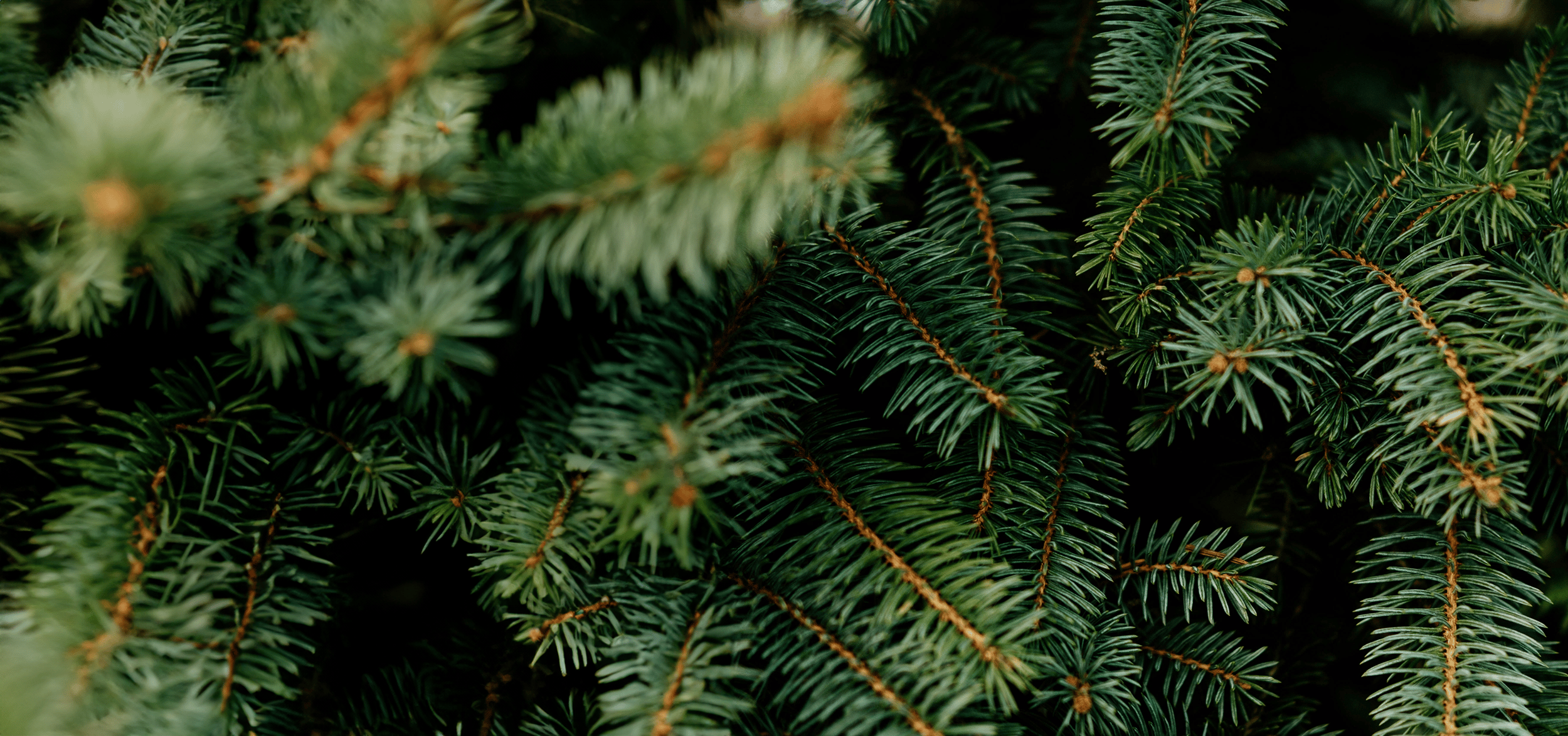 Drukwerk kerst bestellen