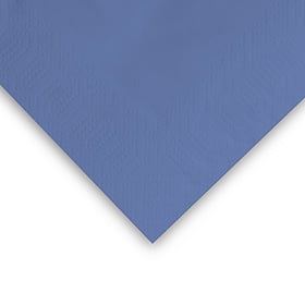 Illustratie Sky Blauw (33 x 33 cm)