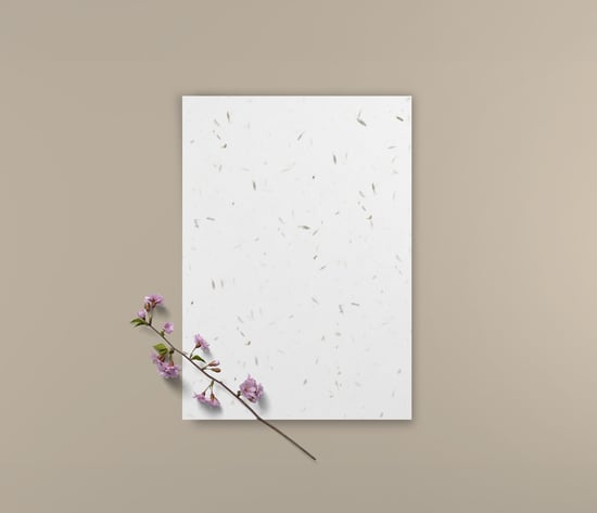 Groeipapier onbedrukt