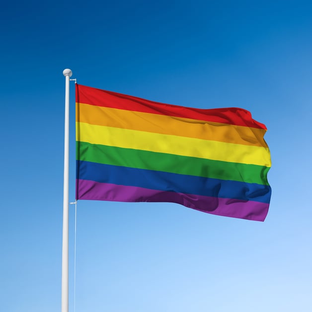 Pride vlag