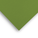Illustratie Groen (270 grams)