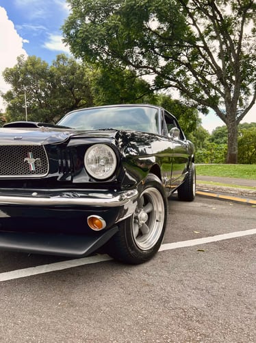 ford mustang 1965 Image 3