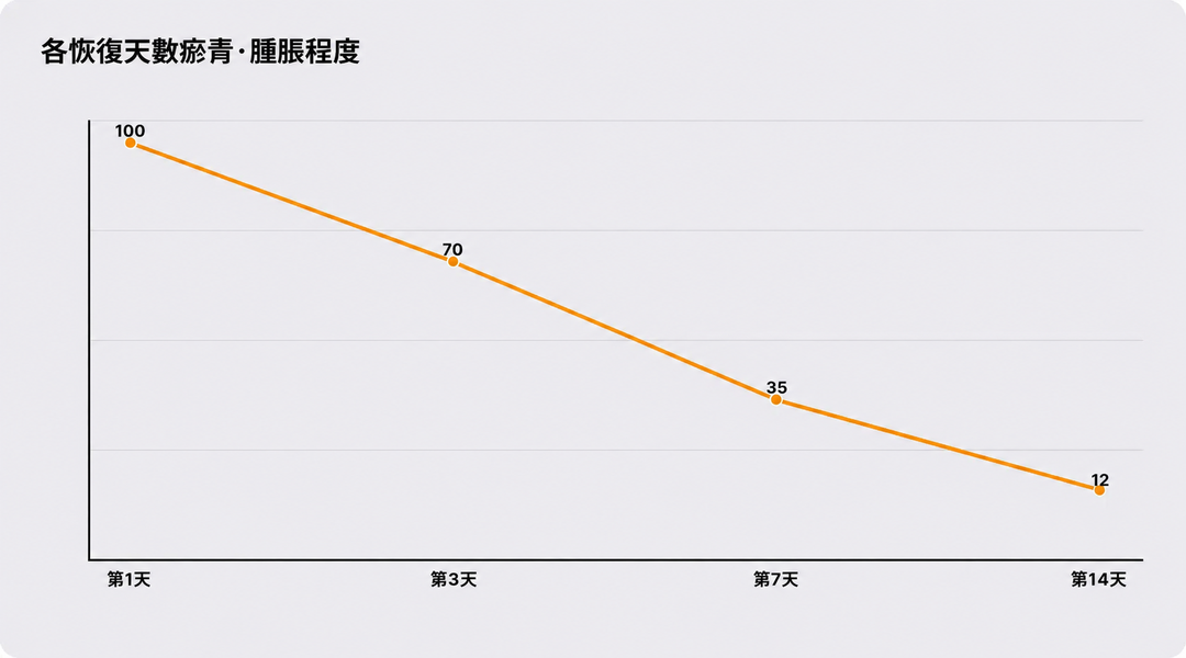 依修復天數顯示的淤青與腫脹程度示意圖
