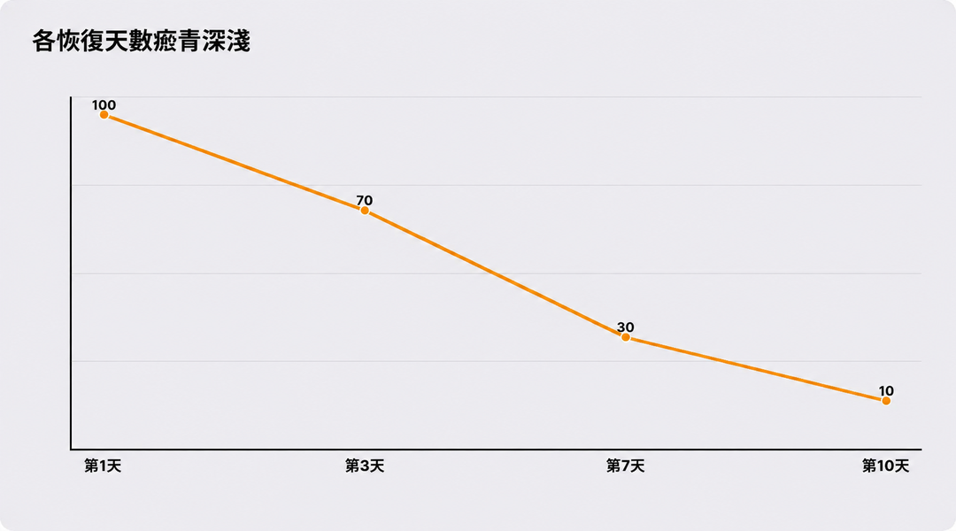 各恢復天數對應的淤青深淺變化