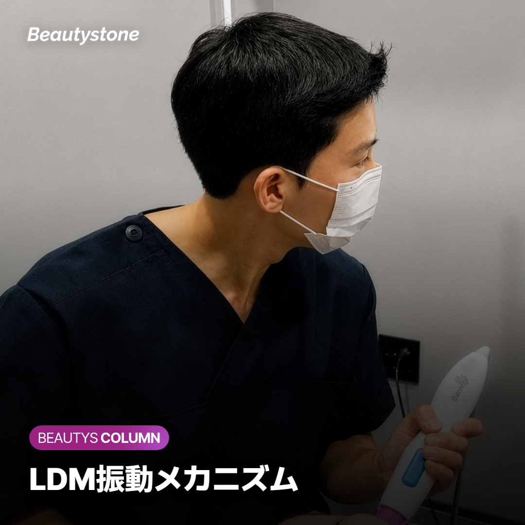 LDM振動メカニズム
