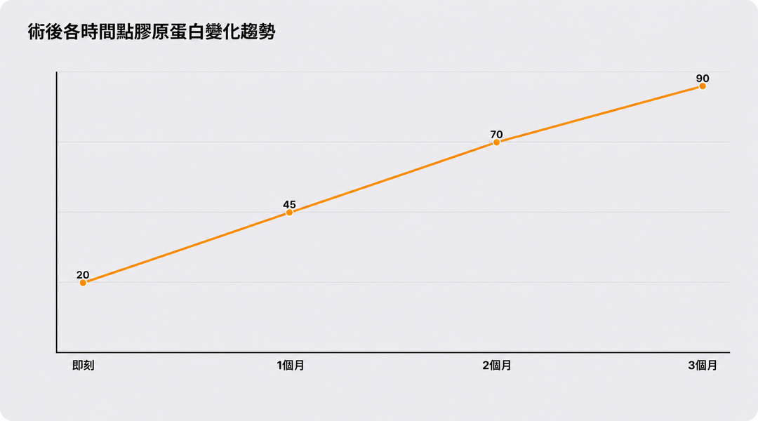 療程後各時間點的膠原蛋白變化趨勢（實際情況因人而異）