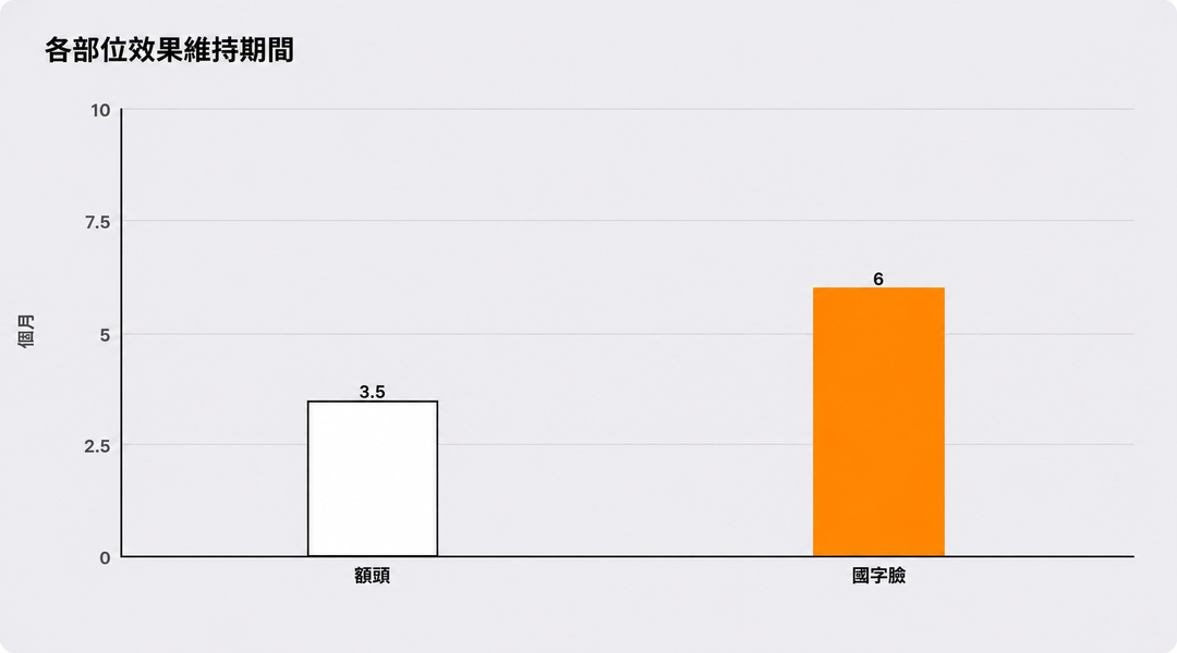 兩個部位的顯效速度與維持時間比較