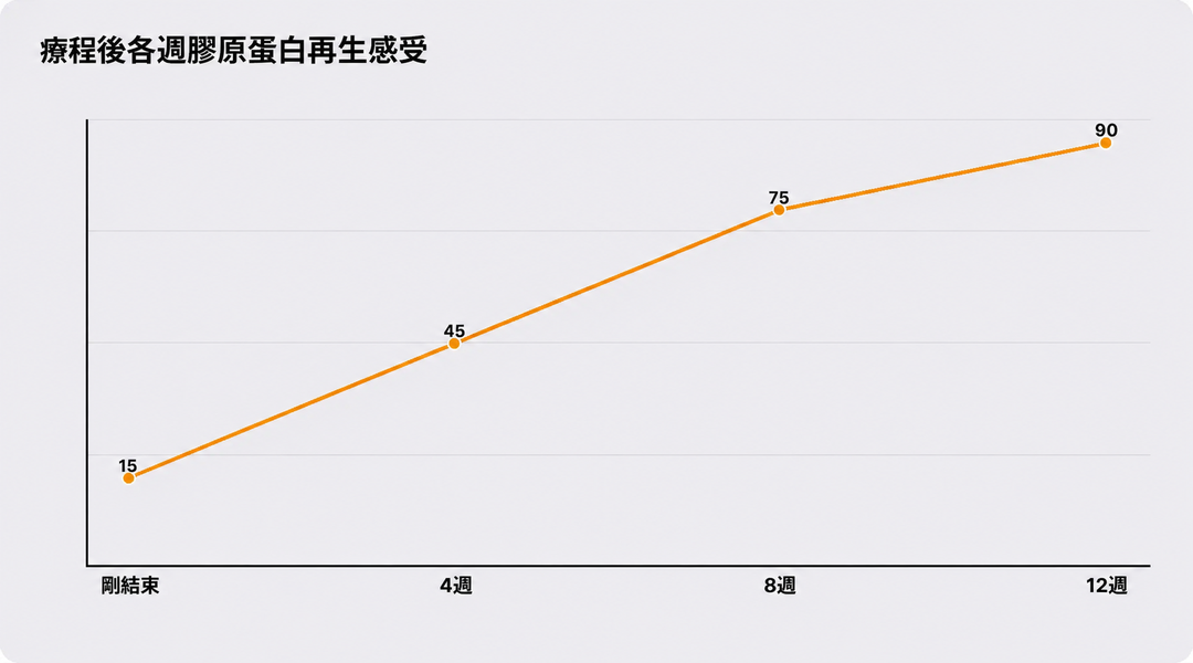 療程後各週膠原蛋白再生感受示意圖