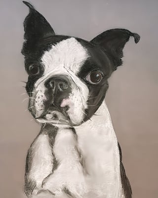 58CB584A-9A8E-4861-8819-4C9CDD8B6B4D