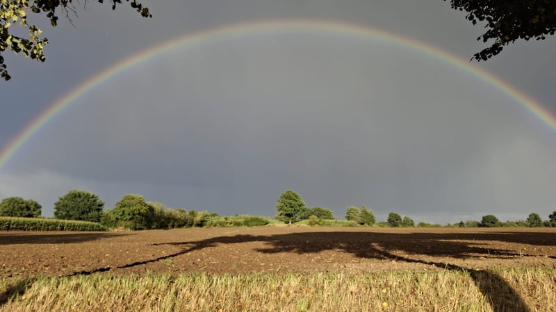 841763e3-d912-4066-93ae-9502628e9004