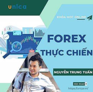 Khoá Học Forex thực chiến