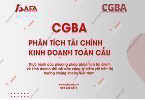 Khóa Học Phân tích tài chính và kinh doanh toàn cầu – CGBA – AFA – Phan Lê Thành Long