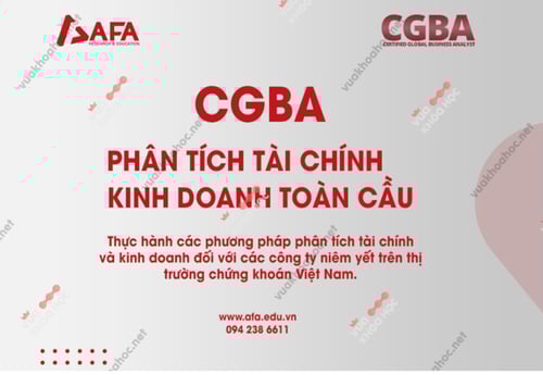 Khóa Học Phân tích tài chính và kinh doanh toàn cầu – CGBA – AFA – Phan Lê Thành Long